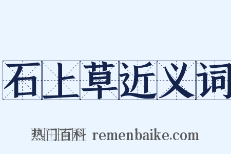 石上草近义词是什么意思的图片